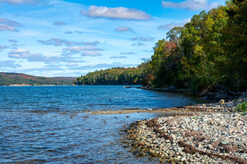 nova-scotia-faces-complaints,-opposition-after-banning-going-into-woods-due-to-wildfire-risk
