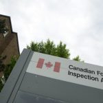 undeclared-milk-prompts-recall-of-boursin-plant-based-spread-in-canada