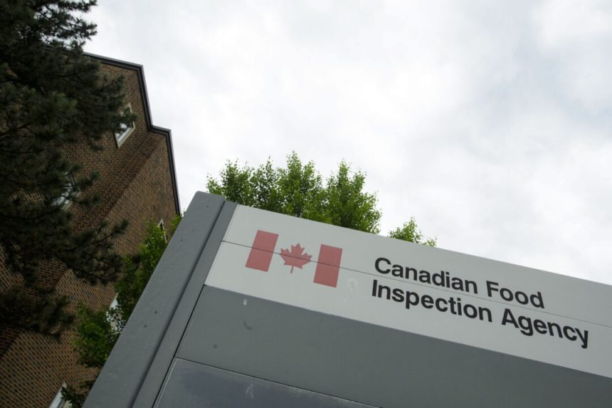 undeclared-milk-prompts-recall-of-boursin-plant-based-spread-in-canada