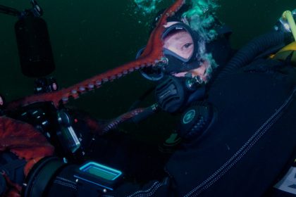 giant-pacific-octopus-shoots-video-of-itself-after-claiming-camera-from-bc-divers