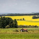 canadian-canola-producers-‘deeply-disappointed’-by-china’s-new-tariffs,-call-for-ottawa’s-support