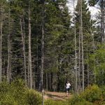 ns-man-gets-$28,000-ticket-on-purpose-for-walk-in-woods-to-challenge-provincial-restrictions