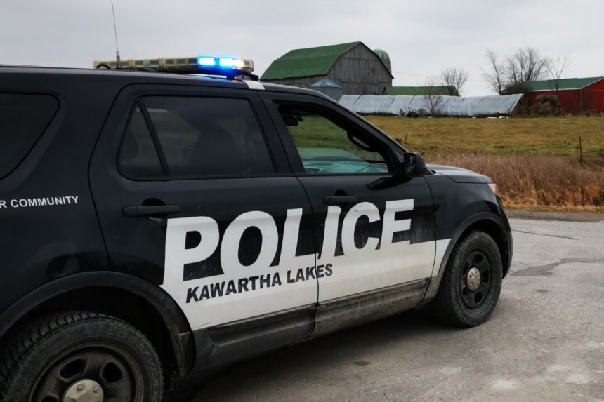 man-charged-with-assault-after-allegedly-injuring-home-invader-in-ontario-town