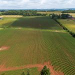 canada’s-foreign-buyer-ban-should-include-our-precious-farmland