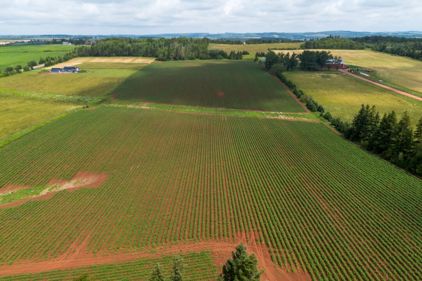 canada’s-foreign-buyer-ban-should-include-our-precious-farmland