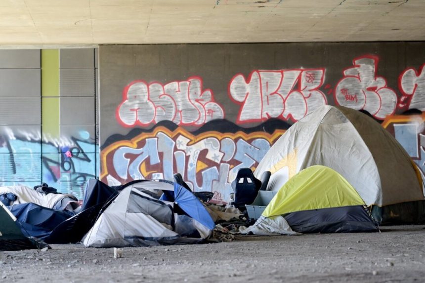number-of-homeless-veterans-in-canada-decreasing:-federal-memo