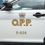 opp-seize-more-than-$8-million-in-illegal-cannabis-products-in-months-long-investigation