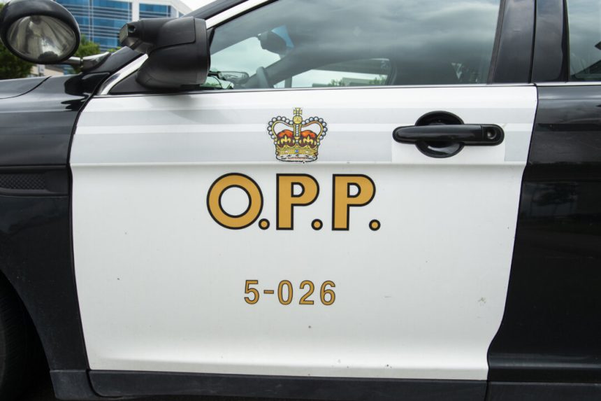 opp-seize-more-than-$8-million-in-illegal-cannabis-products-in-months-long-investigation