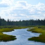 ontario-to-begin-building-road-to-ring-of-fire-mining-region
