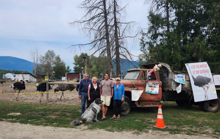 co-owner-and-daughter-of-bc-ostrich-farm-facing-cull-order-arrested