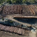 canada-drops-2-appeals-of-us-anti-dumping-duties-on-softwood-lumber