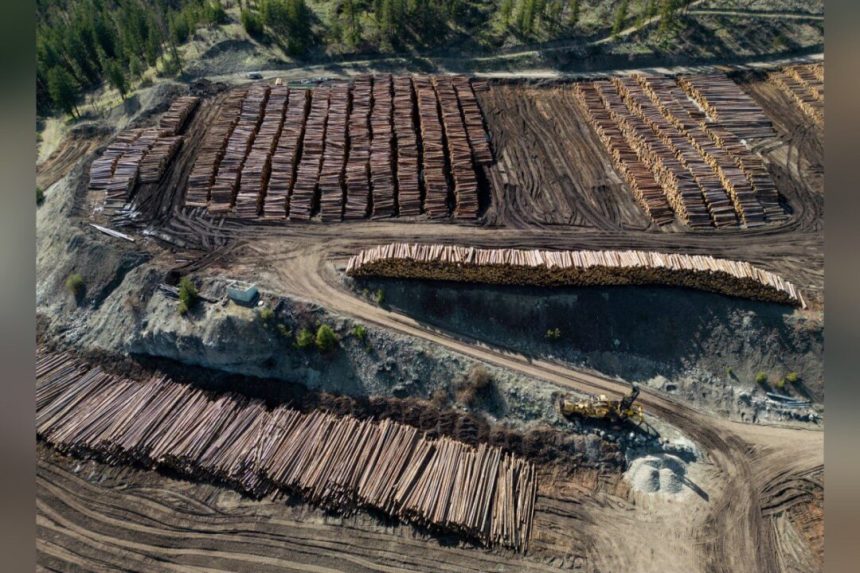 canada-drops-2-appeals-of-us-anti-dumping-duties-on-softwood-lumber