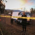bc-conservatives-criticize-ostrich-cull-as-cfia-moves-forward-with-preparations