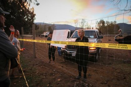 bc-conservatives-criticize-ostrich-cull-as-cfia-moves-forward-with-preparations