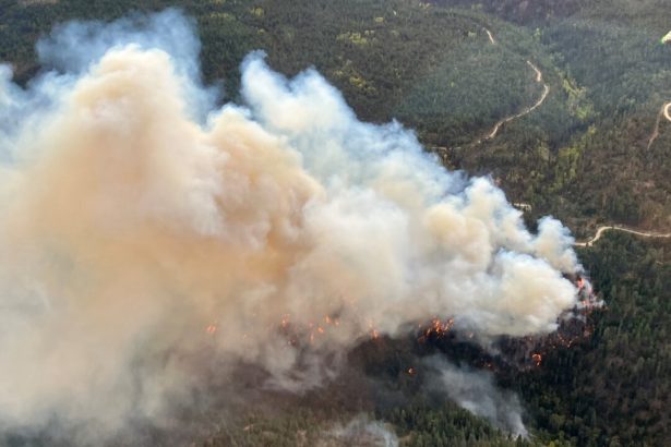 wildfire-evacuation-order-downgraded-for-parts-of-peachland,-bc