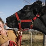 an-alberta-farm-is-home-to-the-world’s-tallest-steer