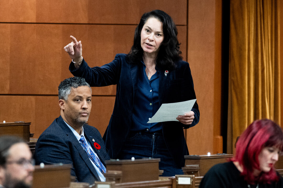 mp-heather-mcpherson-launches-ndp-leadership-bid