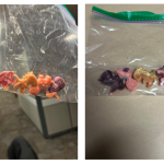 police-seize-more-than-$50,000-worth-of-candy-moulded-fentanyl-in-winnipeg