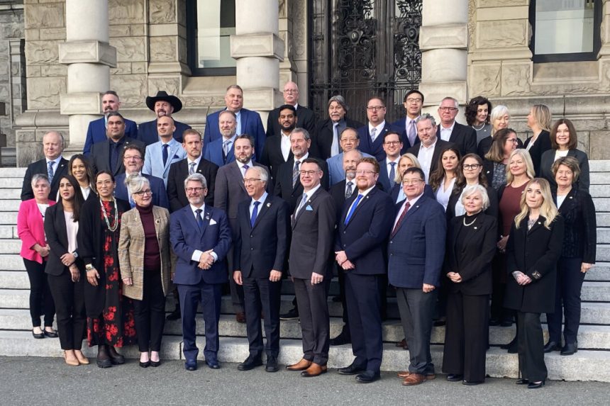 conservative-mp,-mla-speak-out-on-free-speech-as-bc-tories-expel-staffer